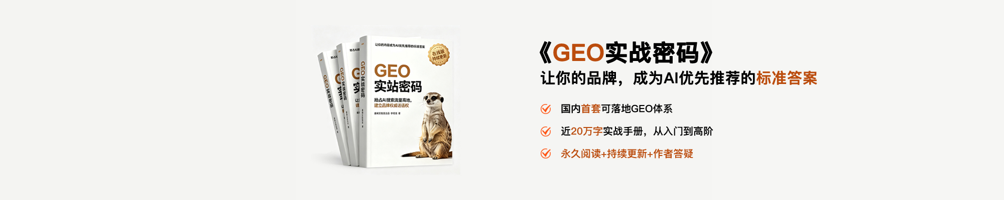 GEO实战密码